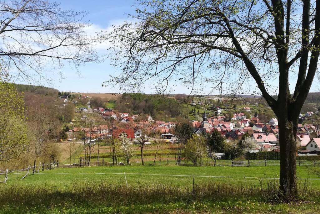 Ferienhaus Zum Kuckuck, Wng 2, Urlaub Im Eichsfeld Kallmerode Exterior foto